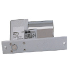 <font color='#333333'>Electric Bolt Lock EDL-100</font>