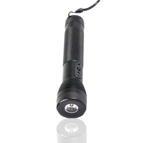 GPS320 Guard Patrol/Tour Stick with LED light